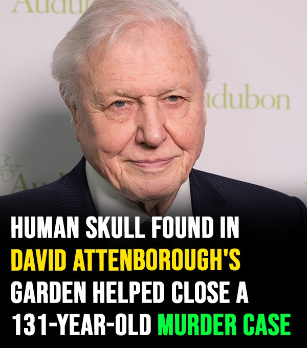 Discovery of a human skull in David Attenborough’s property aids authorities in closing a century-old murder case.