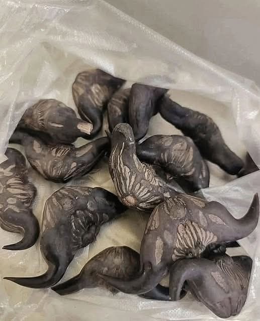 My neighbor gave me a bag of these, anyone know what they are? How do you eat them?