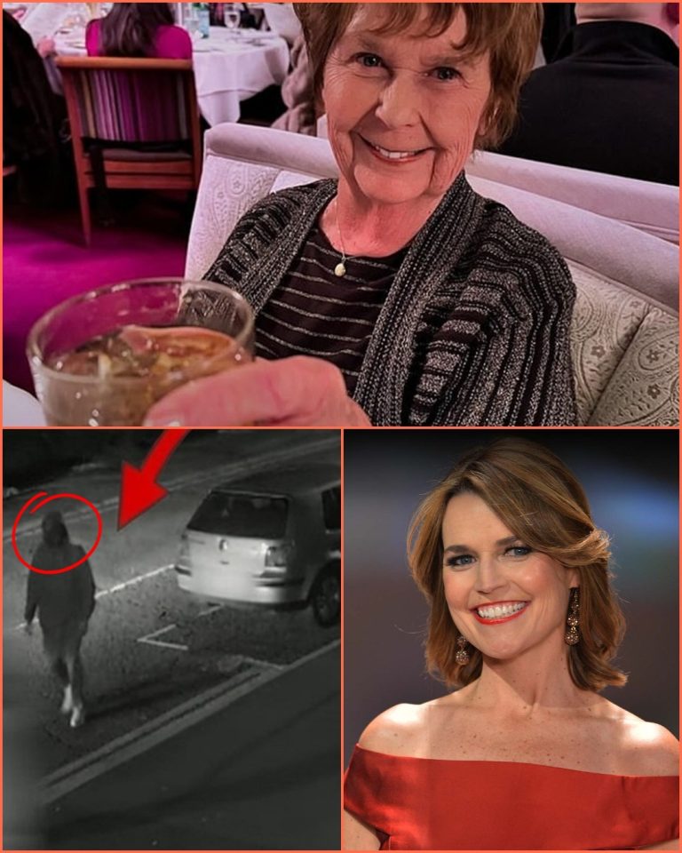 CAFÉ WITNESS: Police extract surveillance footage from the café where Nancy had her final dinner, discovering two suspicious individuals lurking near her table — when investigators zoom in closely, they turn out to be… – GMT – G1