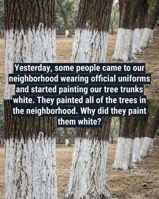 Why Are Tree Trunks Painted White?