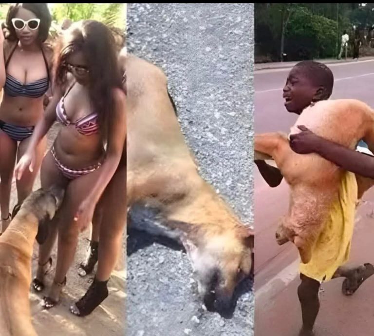 If your dog is sniffing your genital area, it means you have!