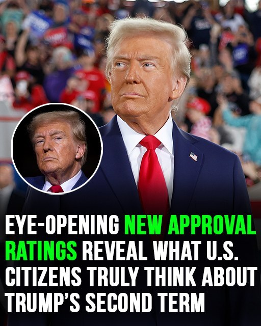 Newly released approval ratings offer a revealing look at how Americans feel about Trump’s second term.