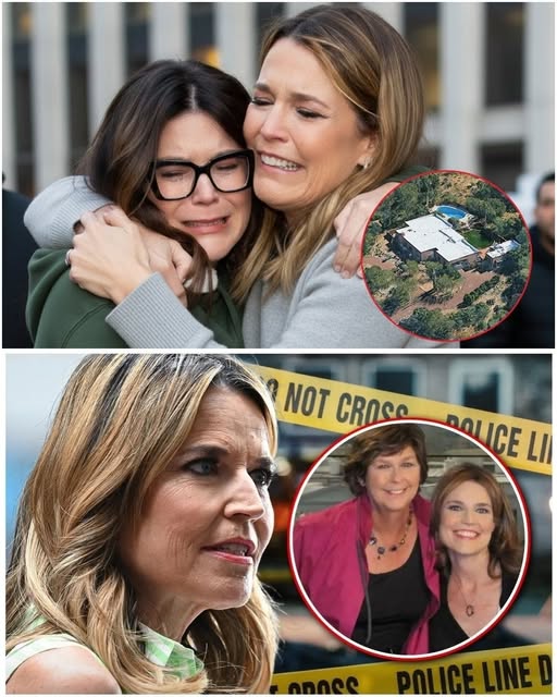 Arizona Officials Comment on Case Connected to Savannah Guthries Family!