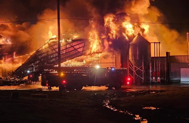 A few hours ago a big fire broke out in M, See it!