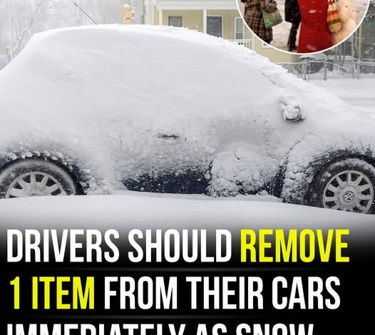 Experts Warn! Remove This Item From Your Vehicle Now