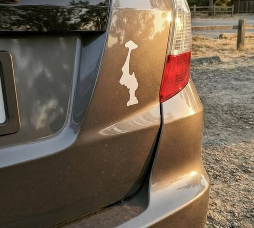 Why an Upside-Down Sticker Has Become Popular Among Some Drivers!