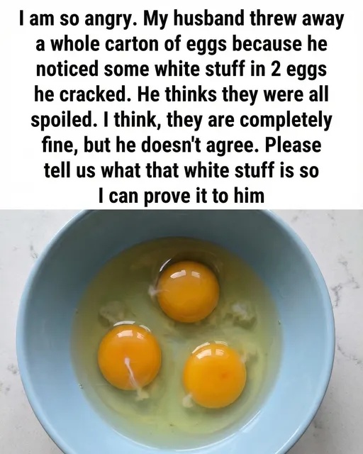 What Is the White Strand in Eggs? A Simple Explanation