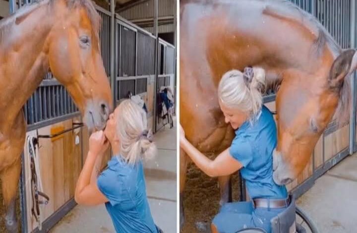 Young woman was hospitalized after being pene – See it!