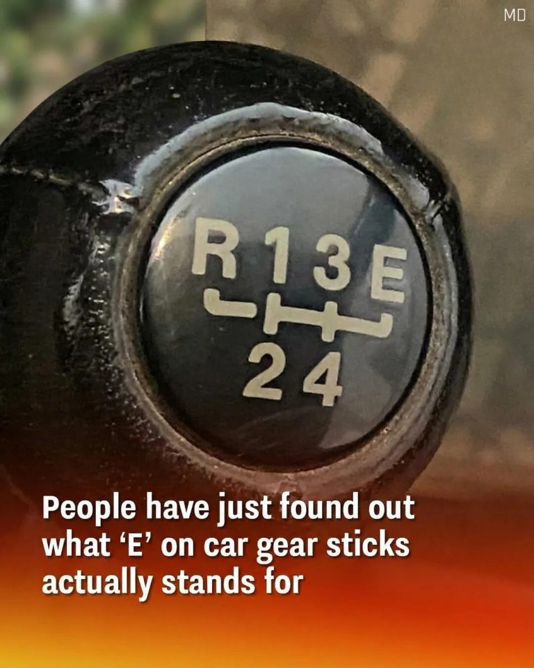Drivers Are Just Discovering What the ‘E’ on Some Car Gear Sticks Means