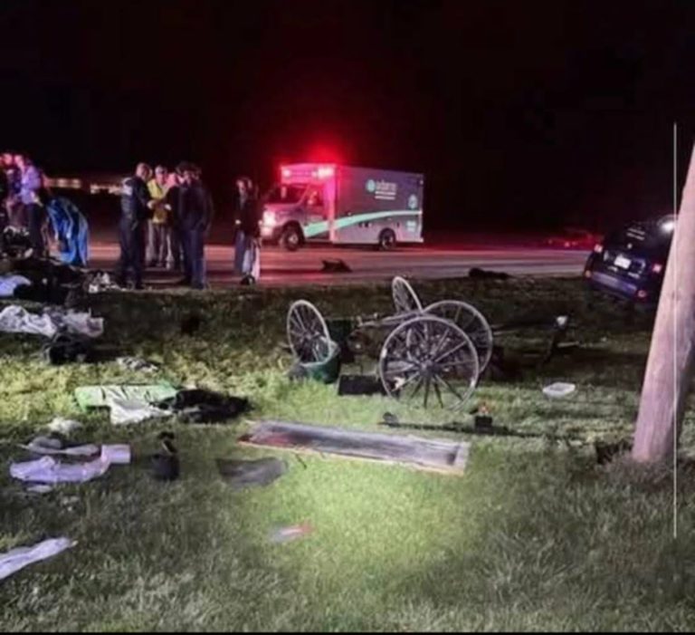 Jeep plows into Amish buggy near Berne — father airlifted, multiple children