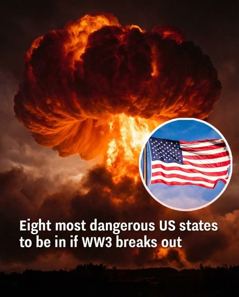 Experts Rank U.S. States That Could Face the Greatest Danger in a Hypothetical War