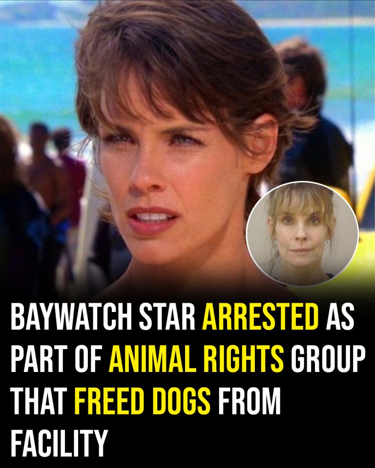 Baywatch star arrested as part of animal rights group