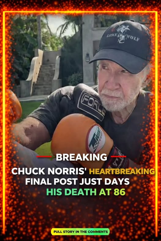 Heartbreaking final post from Chuck Norris as he dies aged 86