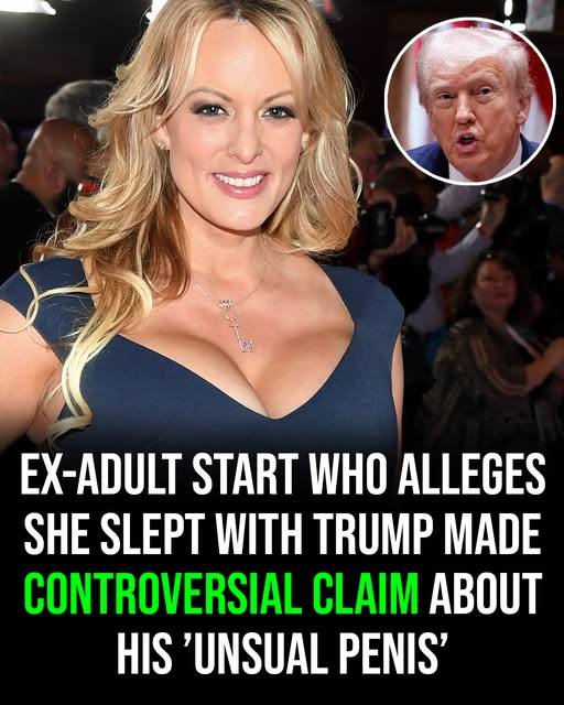 Ex-adult star who says she slept with Trump made one surprising claim about his manhood