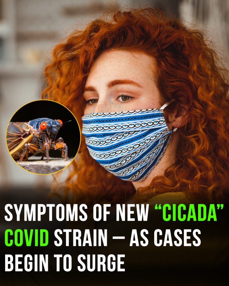 New Covid strain ‘Cicada’ identified and it’s raising vaccine concerns