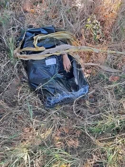 When Silence Speaks: How Investigators Work to Identify Unidentified Human Remains