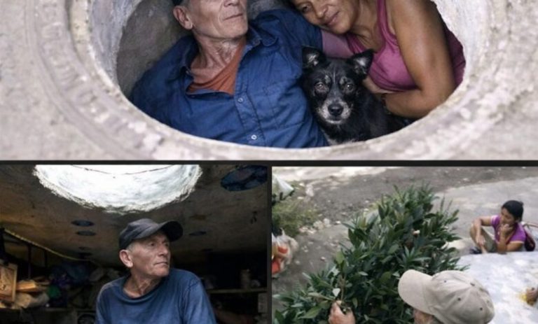 Breaking News – Family found in! See ?