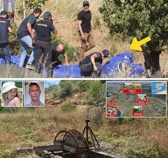 Missing Girl Found in the Woods — The Truth About Who Helped Bring Her Home