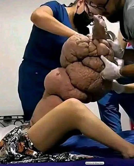 A Father, a Son, and the Trail They Never Returned From: The Mystery of the Great Smoky Mountains