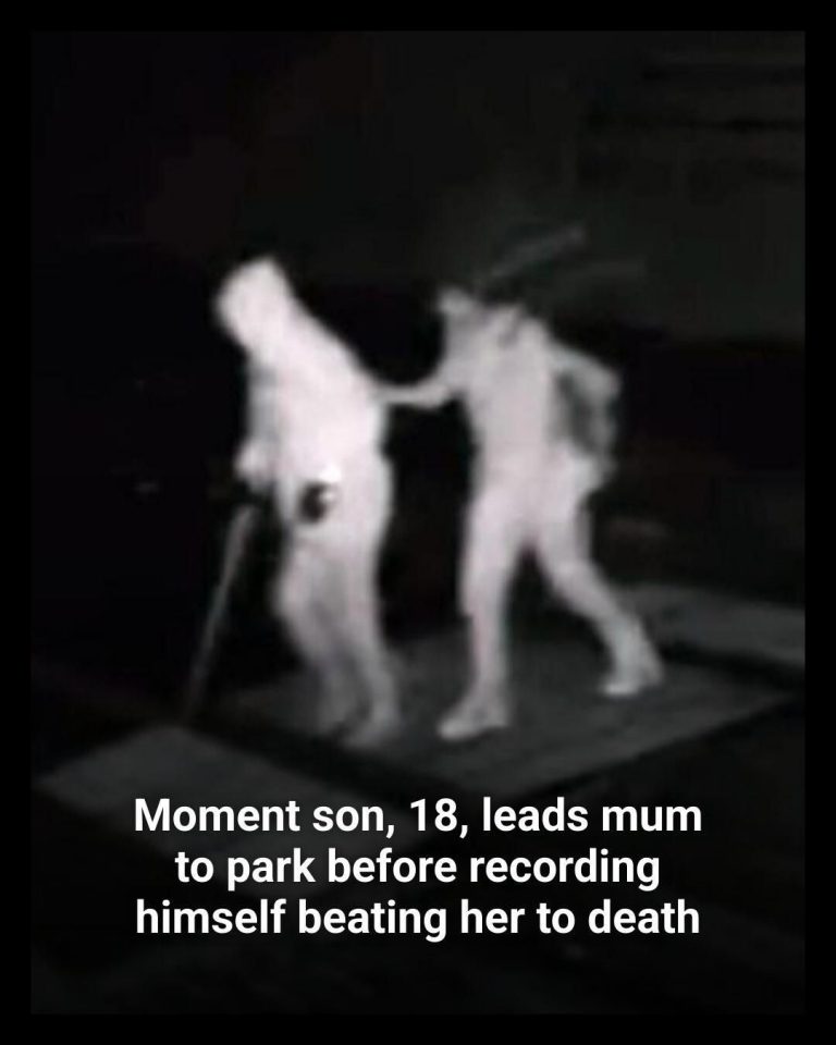 Chilling moment son, 18, leads mum to park before recording himself beating her to death & boasting about murder online
