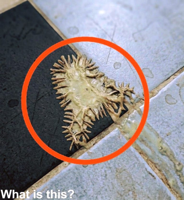 A Mysterious Object Appeared in the Bathroom — And We’re Confused for an hour now and still can’t figure out what it is.