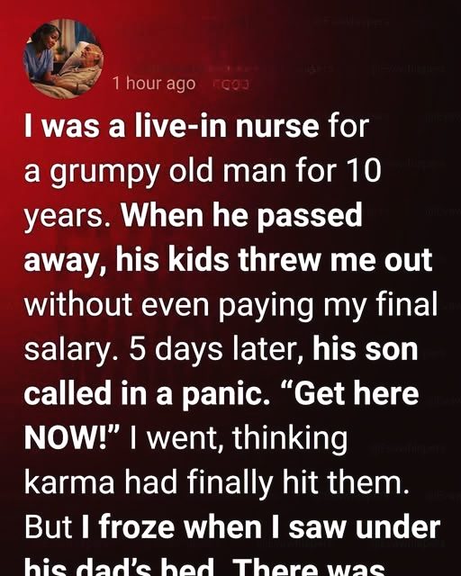 After Being Let Go, a Nurse Discovers a Hidden Box That Changes Everything