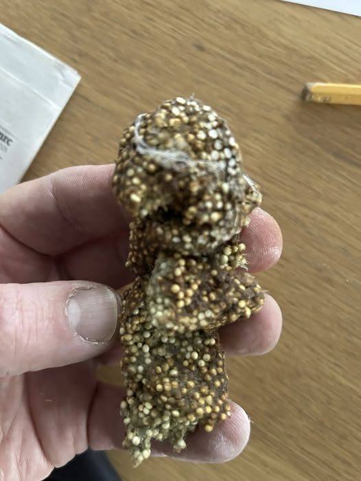 What I Found Under My Shelf — And Why It Stayed With Me