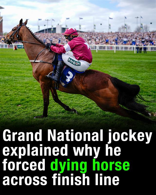 Grand National jockey explained why he forced dying horse across finish line