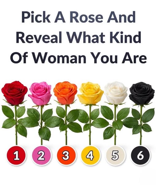 What Your Chosen Rose Color May Say AboutHuman personality is often explored through symbols, metaphors, and simple choices that feel meaningful even when they seem small. Among these, roses are especially powerful because they carry emotional associations that are widely understood across cultures. Choosing a rose based on instinct rather than logic creates a moment of reflection, where personal feelings and imagination blend together.  In this way, roses become mirrors, not of fixed truths, but of how individuals perceive themselves and wish to express their inner qualities. The colors of roses play a key role in shaping these interpretations. Red is often linked to passion, intensity, and strong emotional drive, representing individuals who engage deeply with life and relationships. Pink reflects gentleness, empathy, and care, suggesting a nurturing and supportive personality.  Orange and yellow are associated with energy, creativity, and optimism, highlighting a vibrant and forward-looking mindset. White conveys calmness, clarity, and balance, while darker tones suggest mystery, independence, and introspection. Each color offers a different emotional lens through which personality can be viewed. These symbolic associations are not rigid definitions but reflections of how people connect emotion with visual cues.