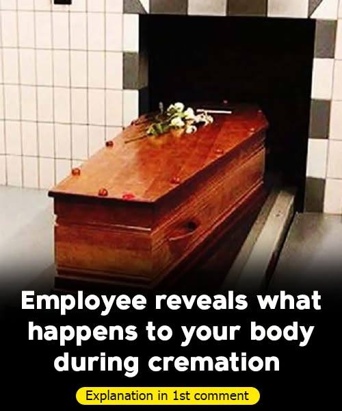 Employee reveals what happens to your body during cremation