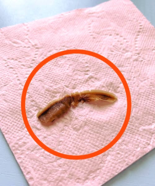 I Found This in My Girlfriend’s Bathroom and Couldn’t Figure Out What It Was