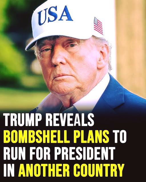 Donald Trump Reportedly Discusses Political Future and Potential Activity Abroad