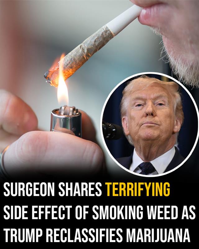 Surgeon shares terrifying side effect of smoking weed as Trump reclassifies marijuana