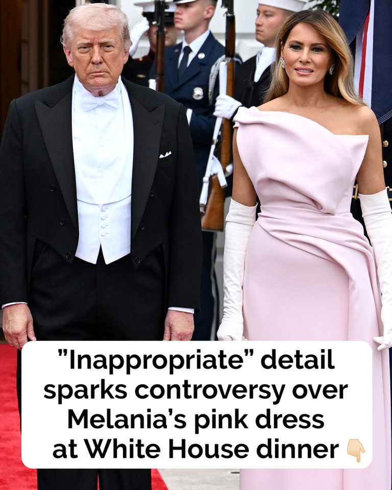 The one detail critics can’t stop talking about in Melania’s pink dress