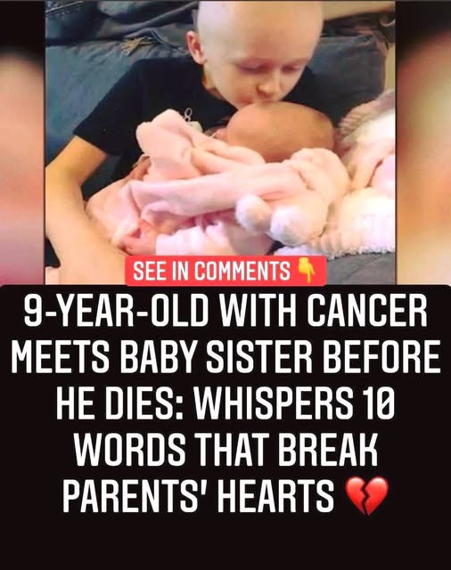 Search results for: The heartbreaking story of Bailey Cooper is deeply emotional and moving for anyone who reads it