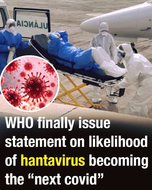 WHO Issues Statement on Concerns About Hantavirus and Comparisons to COVID-19