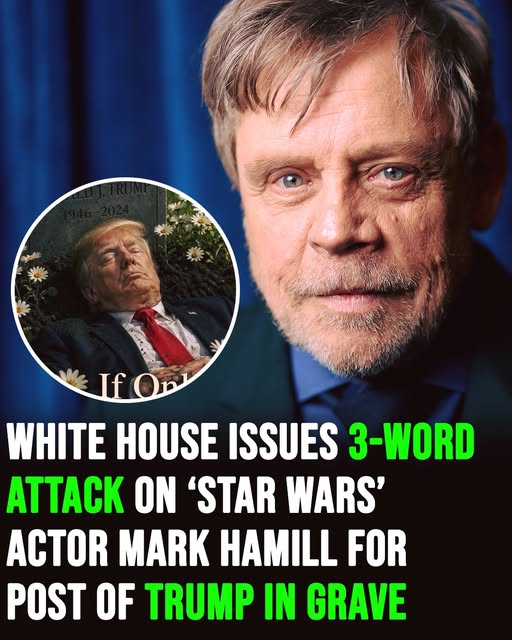 White House Criticizes ‘Star Wars’ Actor Mark Hamill Over Controversial Post About Trump