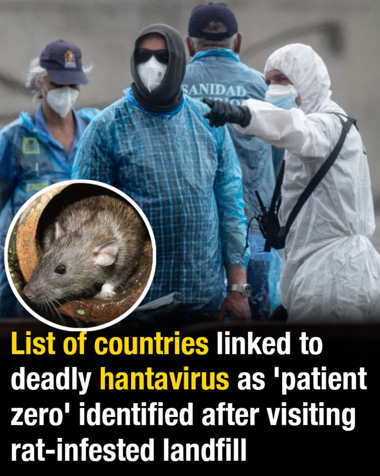 List of countries linked to deadly hantavirus as ‘patient zero’ identified after visiting rat-infested landfill