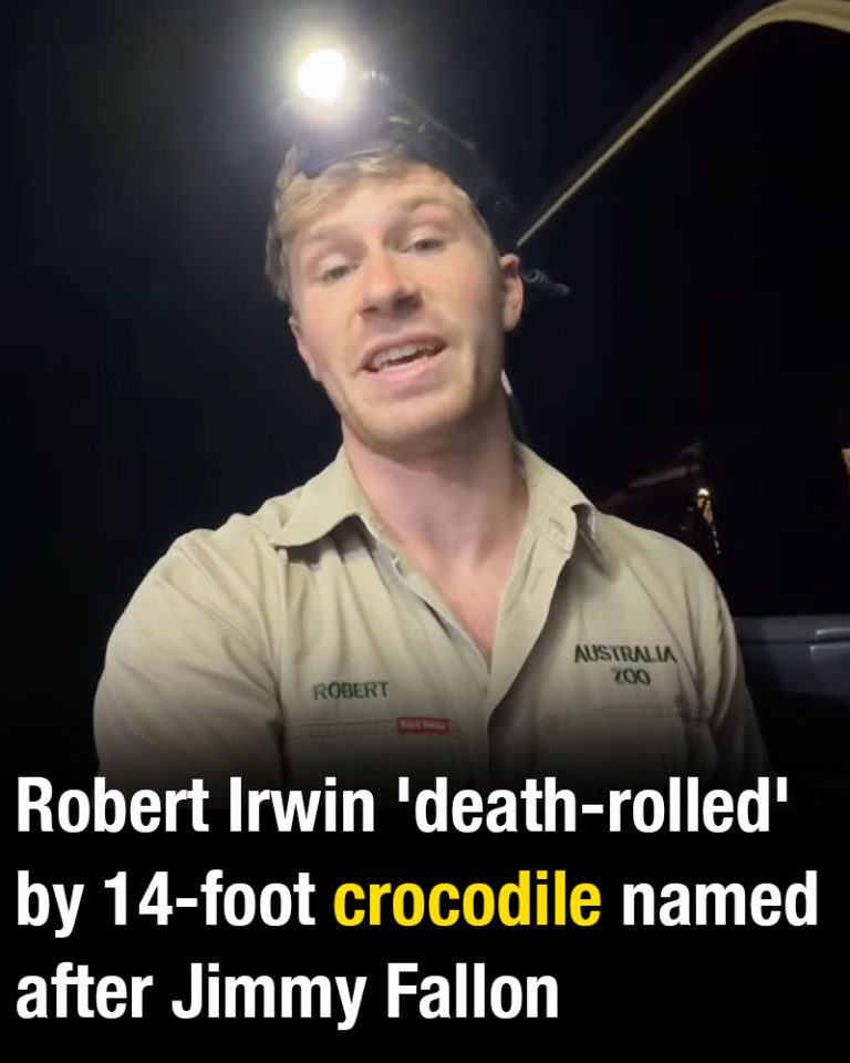 Robert Irwin ‘death-rolled’ by 14-foot crocodile named after Jimmy Fallon