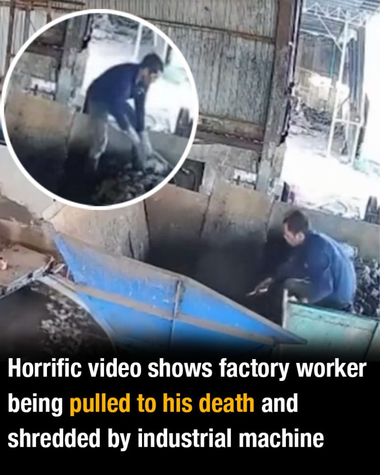 Horrific video shows factory worker being pulled to his death and shredded by industrial machine