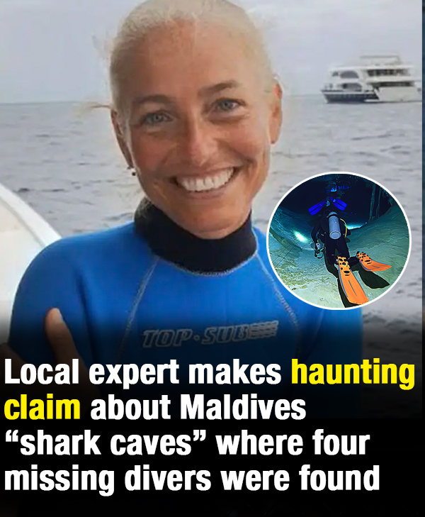 Local expert makes haunting claim about Maldives “shark caves” where four missing divers were found